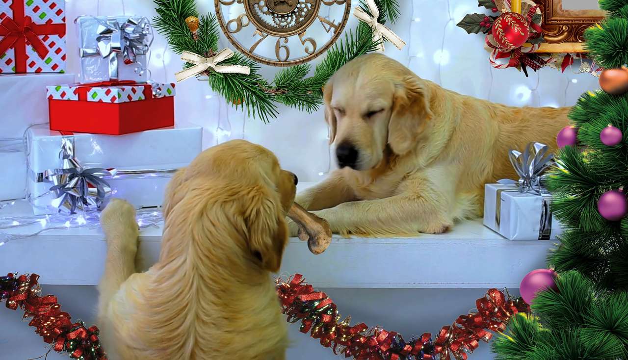 Prezenty świąteczne dla psów puzzle online
