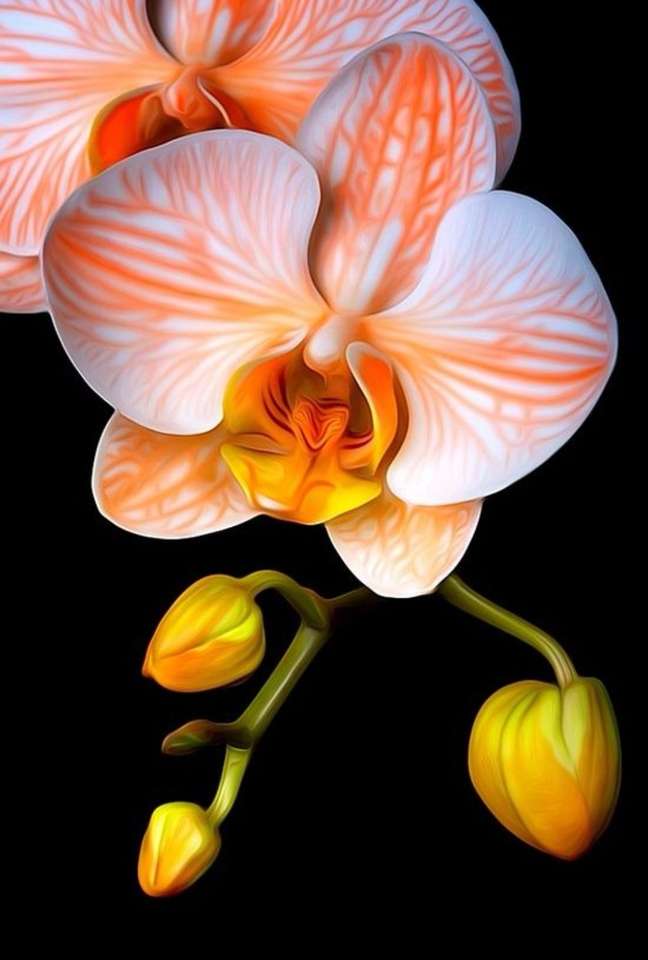 Piękna orchidea puzzle online