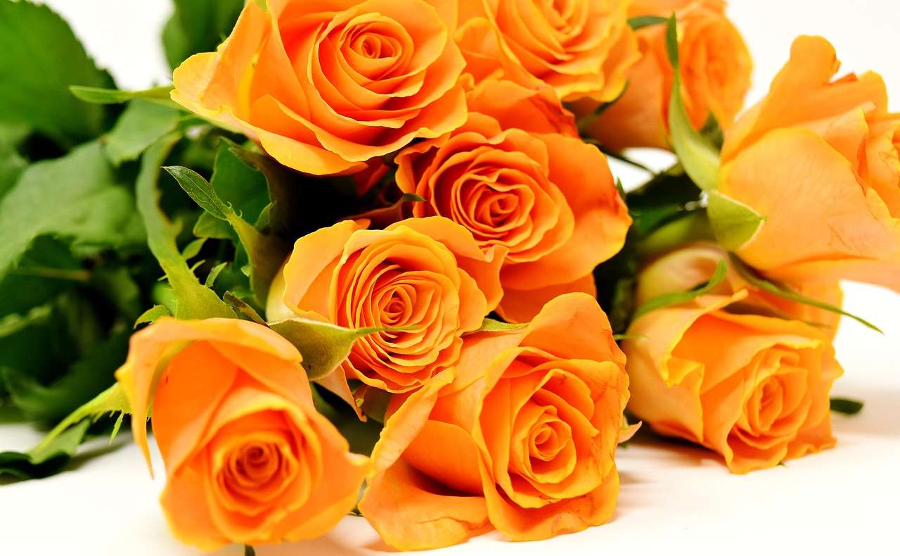 Pomarańczowe róże puzzle online