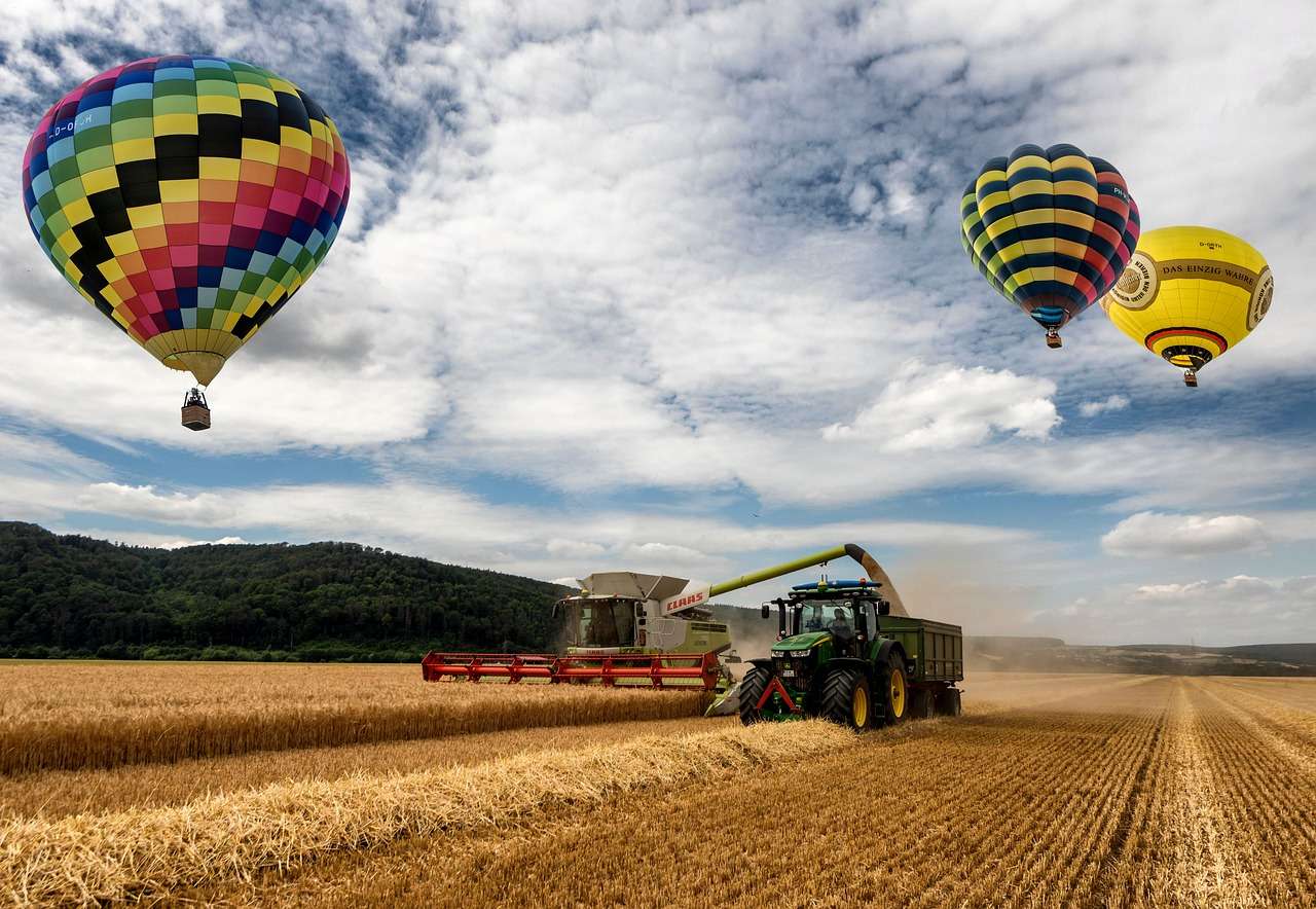 Farma balonów na ogrzane powietrze puzzle online