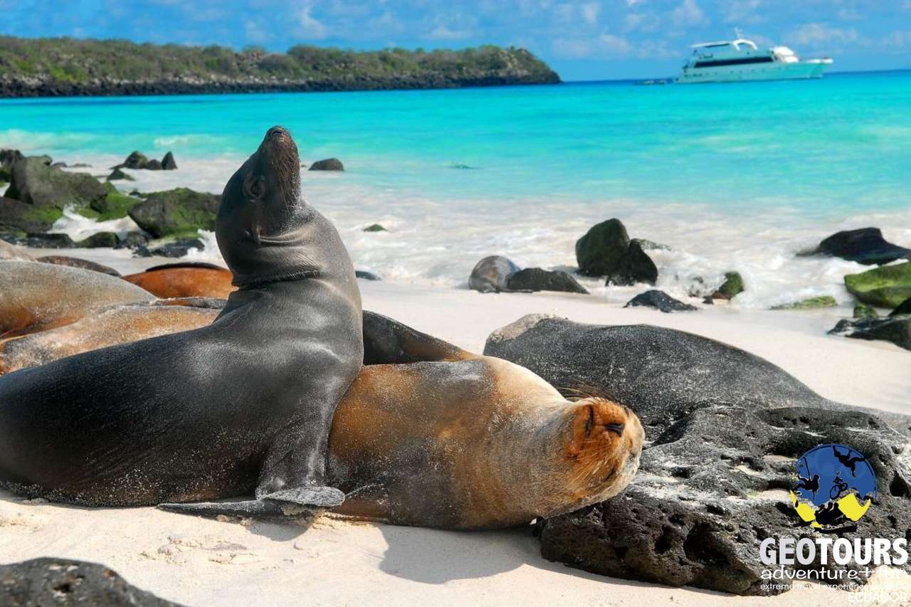 Archipelag Galapagos puzzle online