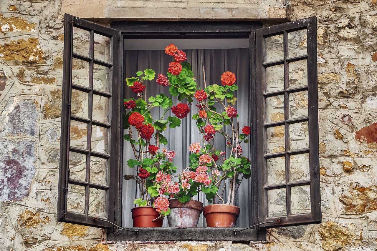 Kwiaty w oknie puzzle online