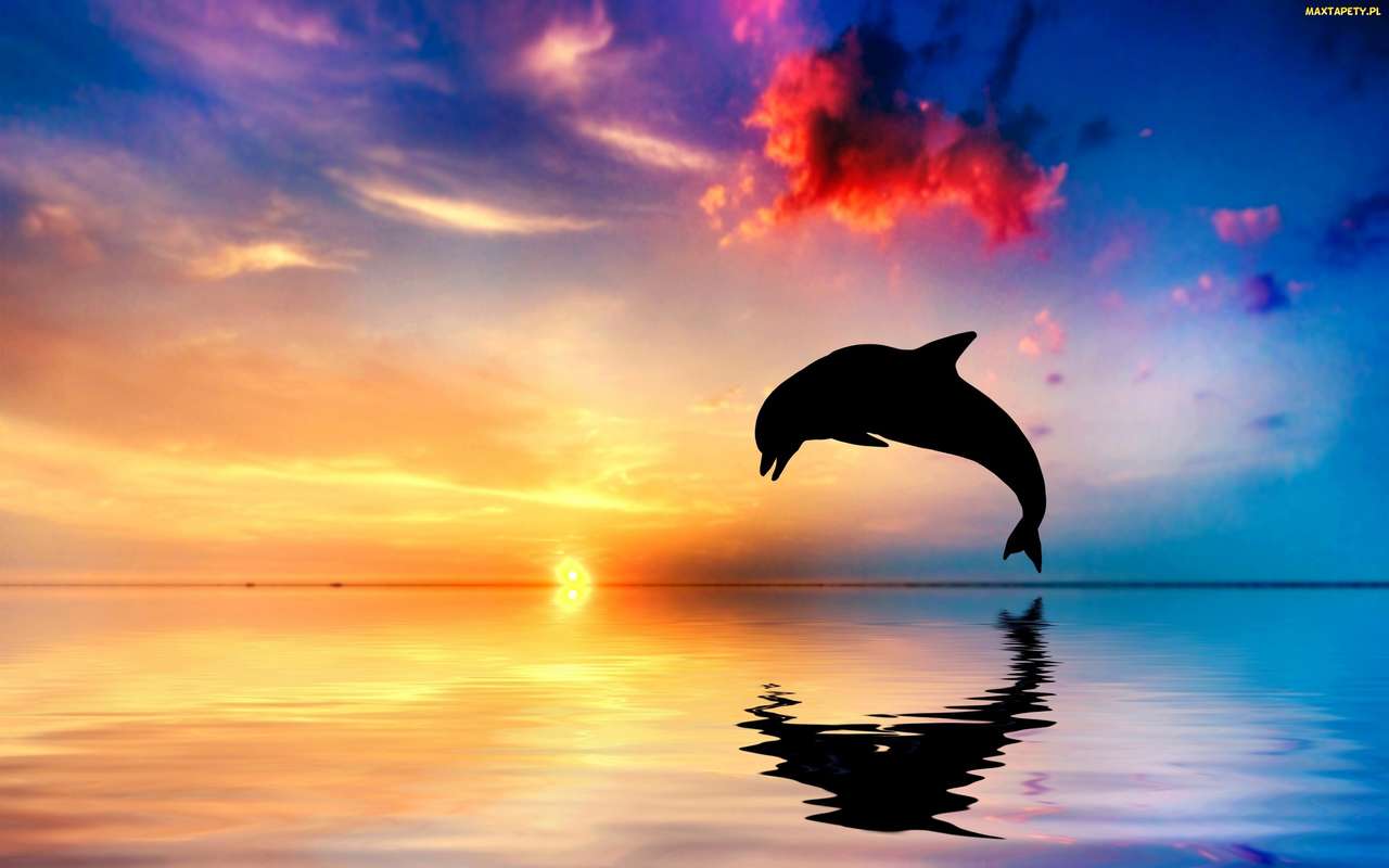 delfin i zachód słońca puzzle online