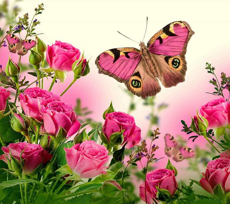 Cudne róże jak motyle, czy motyle piękne jak róże? puzzle online