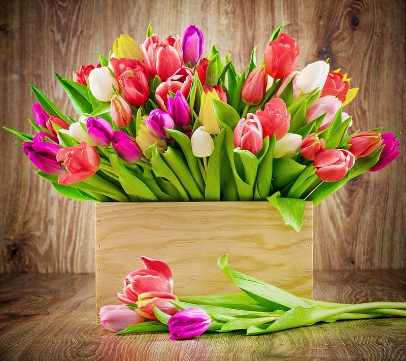 Tulipany w kolorach wiosny, ciekawa aranżacja puzzle online