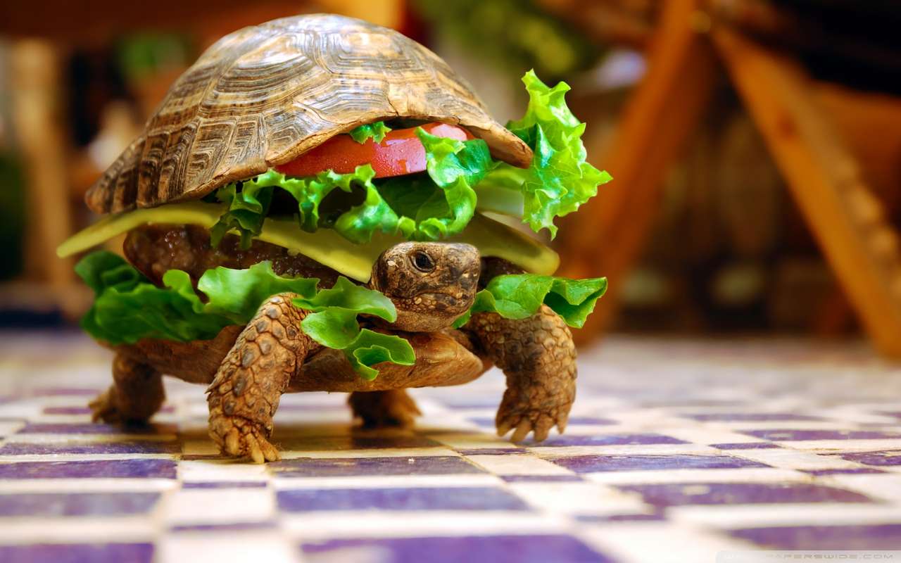 żółwi burger puzzle online