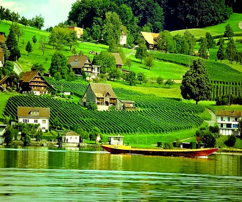 Zielona mała osada nad rzeką z winnicami puzzle online
