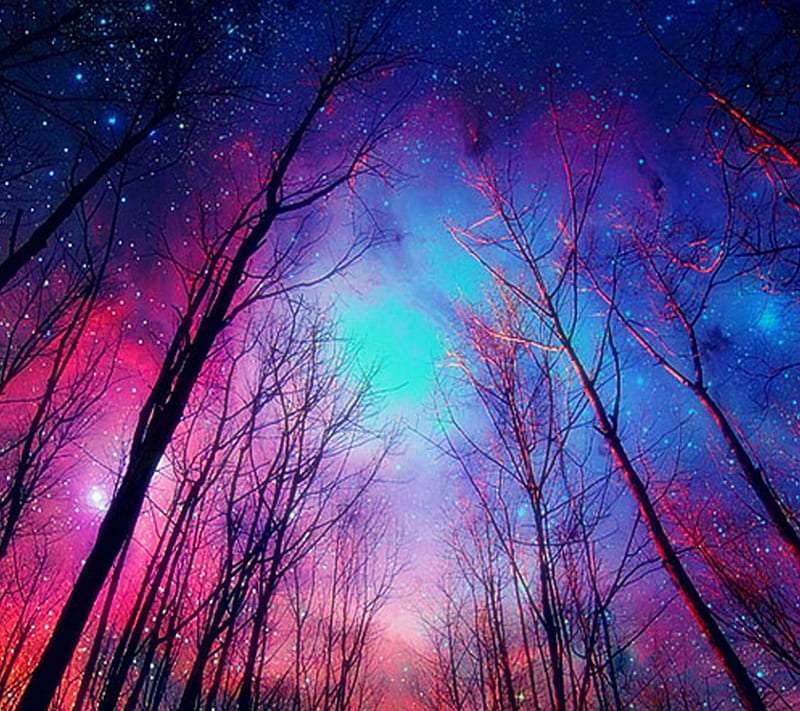 Twilight Forest -Mroczny las i piękne kolory nieba puzzle online