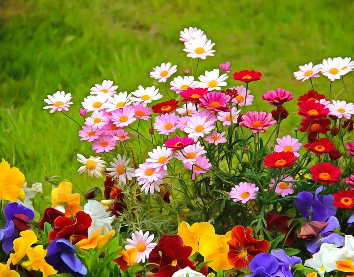 Przepiękne kolorowe kwiatki ogrodowe puzzle online