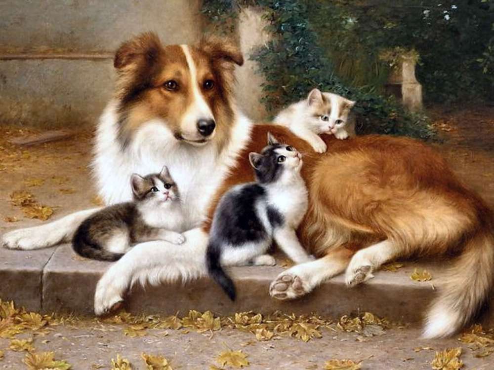 Collie Dog and Kittens -przyjaciele urocza scena puzzle online