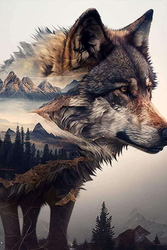 Wilk w swoim środowisku puzzle online
