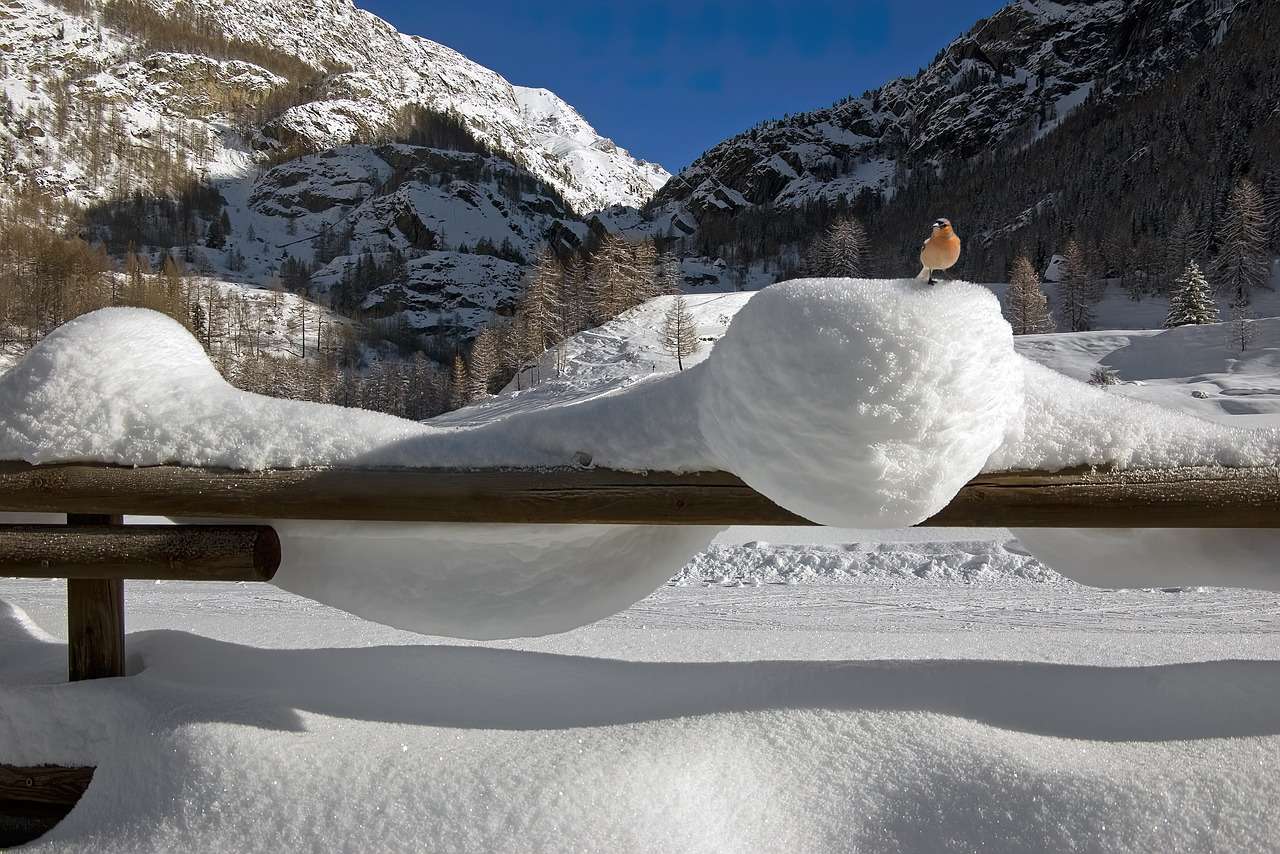 Alpy górskie Zima puzzle online