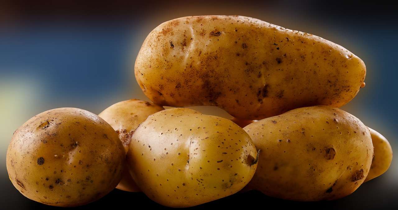 Odżywianie ziemniaków puzzle online