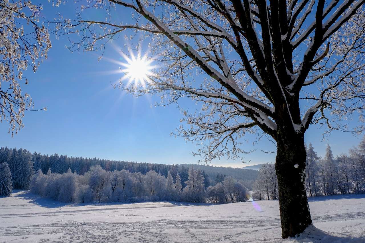 zimowe słońce śnieg puzzle online