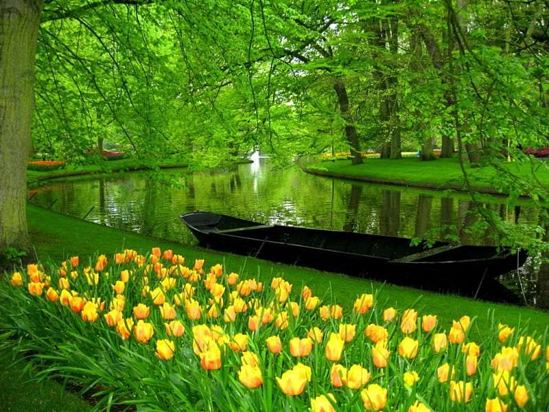 Zielony poranek w pięknym parku, kolorowe tulipany puzzle online
