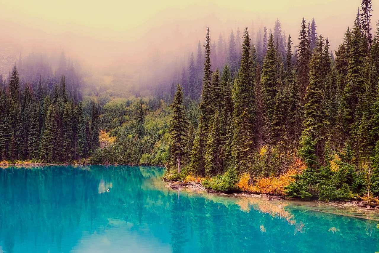 Kanadyjskie lasy nad jeziorem puzzle online