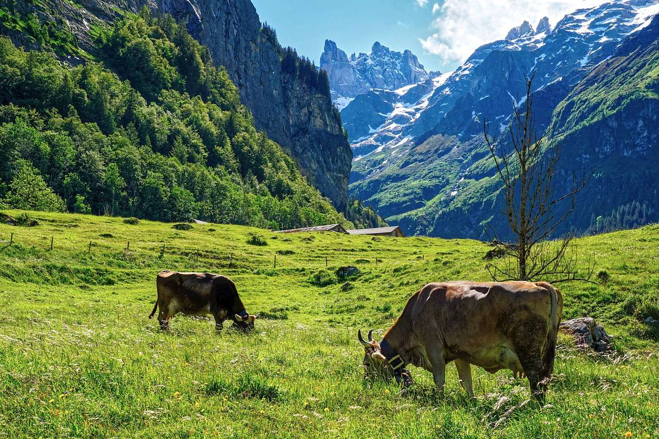 Góry Alpy Szwajcaria puzzle online