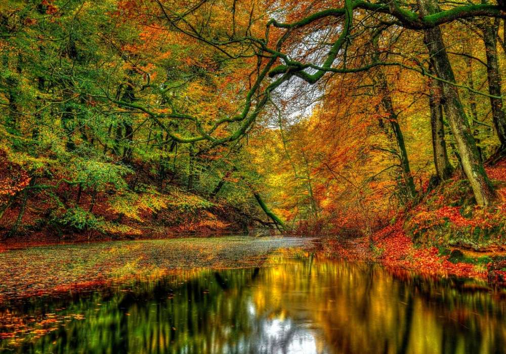 Szalejące kolory jesieni nad rzeką, cudo widok puzzle online