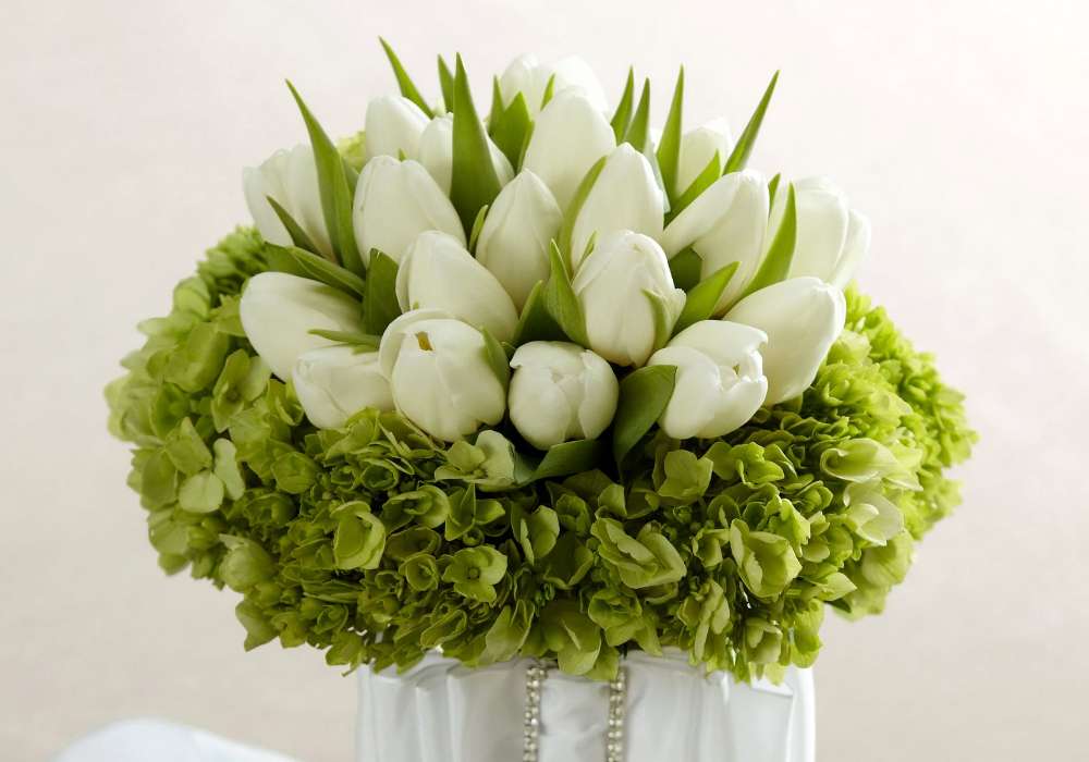 Białe tulipany otulone zieloną hortensją, cudo puzzle online