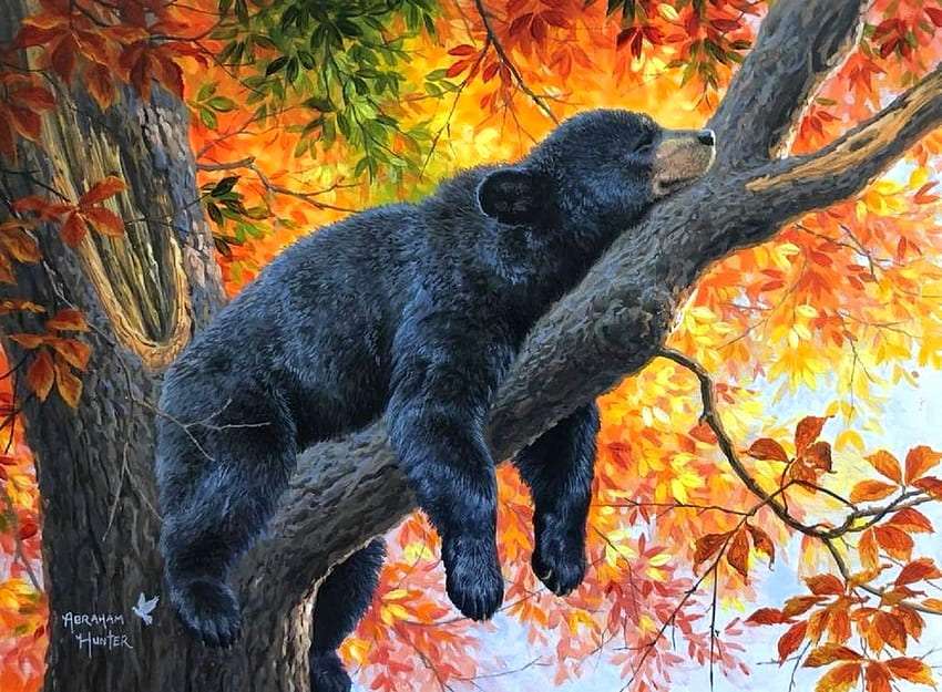 Taki sobie śpioszek niedźwiadek brunatny puzzle online