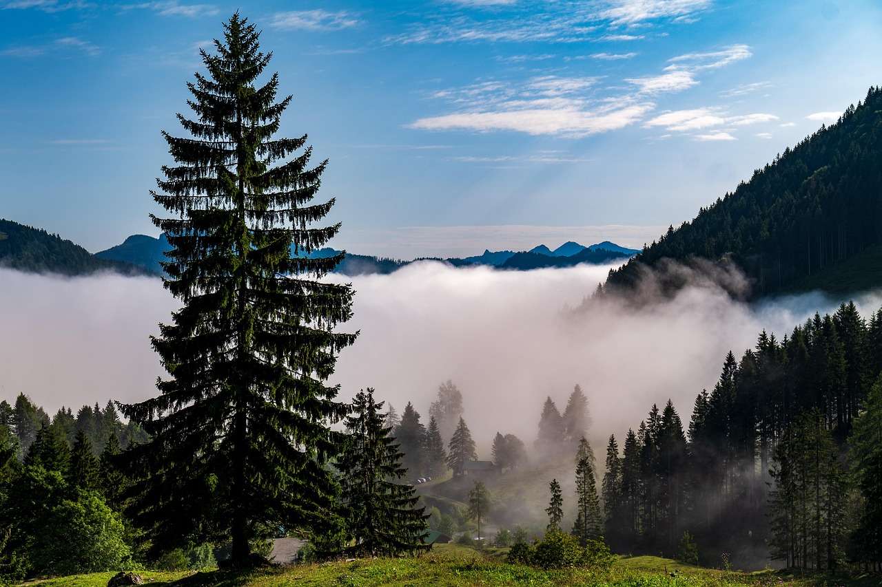 Góry Drzewa Mgła puzzle online