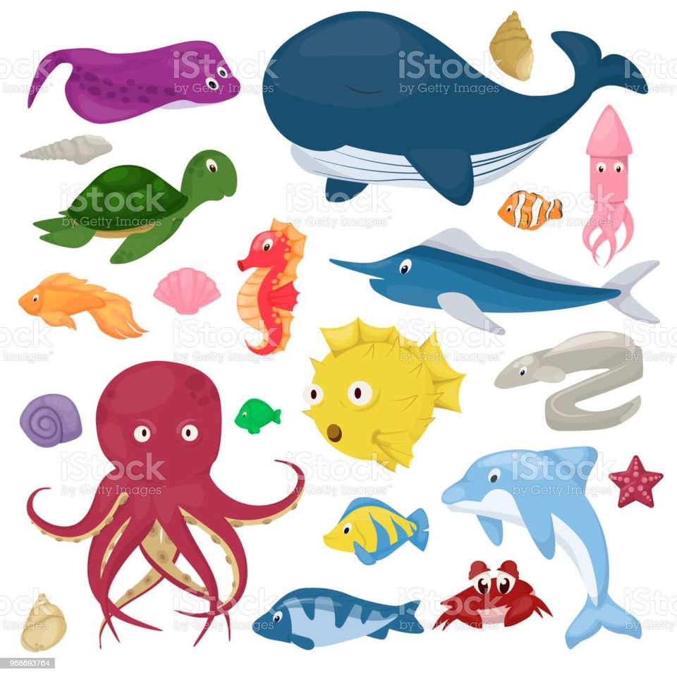 Zwierzęta morskie puzzle online