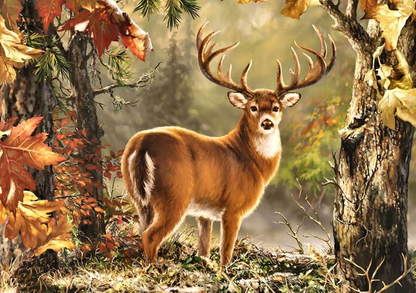 Whitetail Deer Buck-Jeleń i jego piękne poroża puzzle online