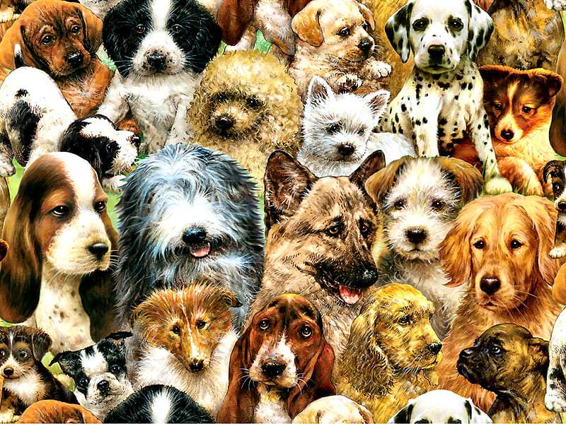 Dog Collage-kolaż psów puzzle online