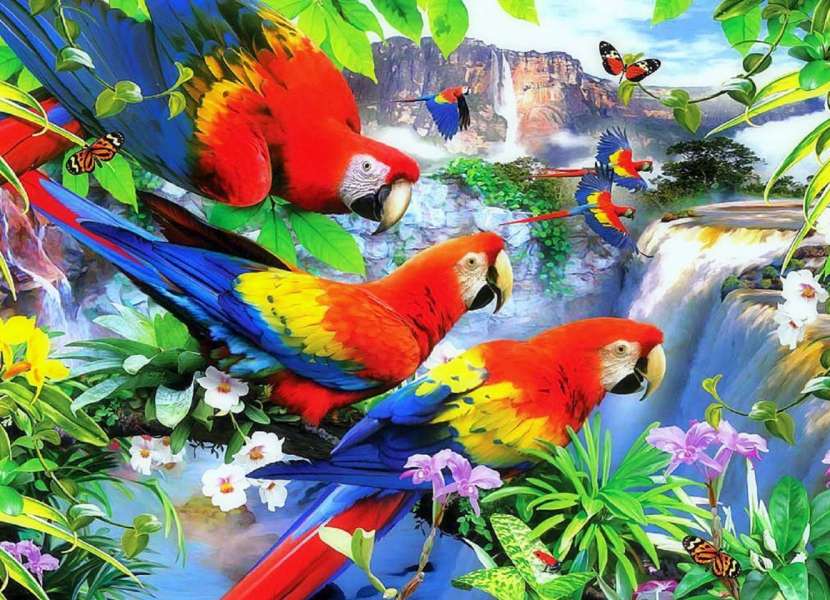 Tropikalne ptaki w tropikalnym lesie puzzle online