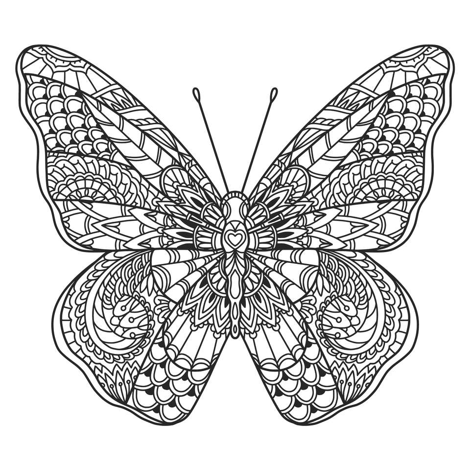 Motyl    . puzzle online