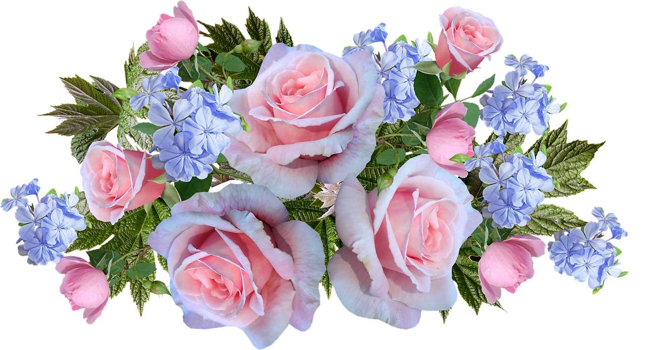 Kwiaty Róż puzzle online
