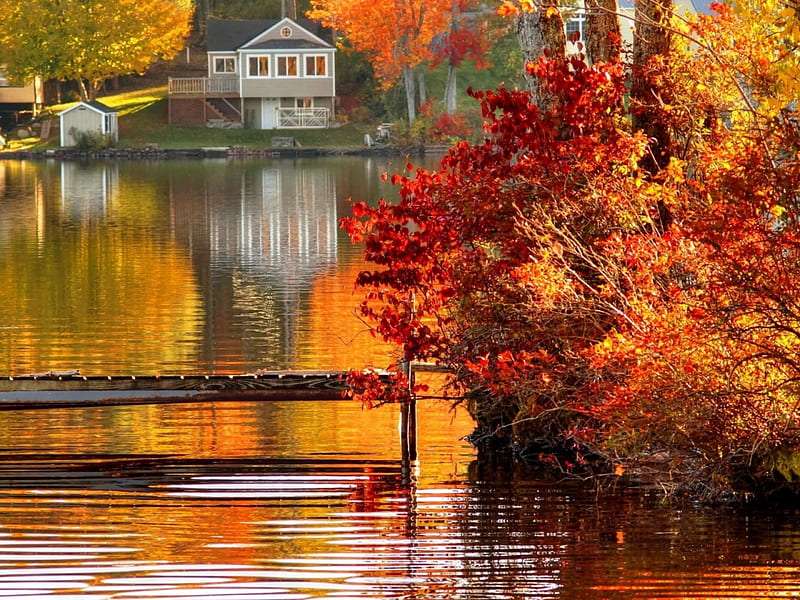 Domek nad jeziorem, piękne miejsce puzzle online