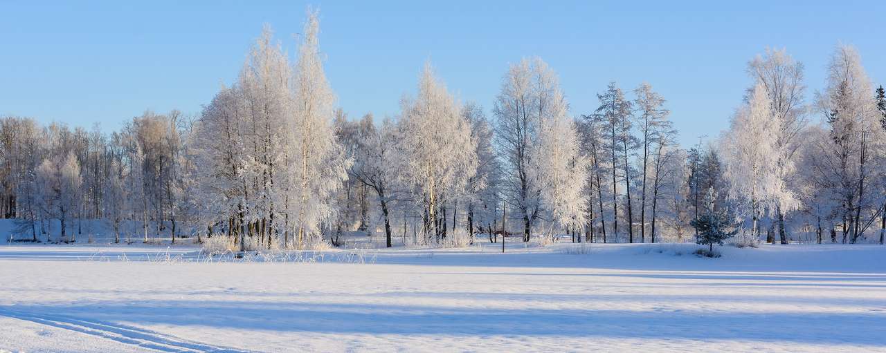 Zimowy śnieg Kuopio puzzle online