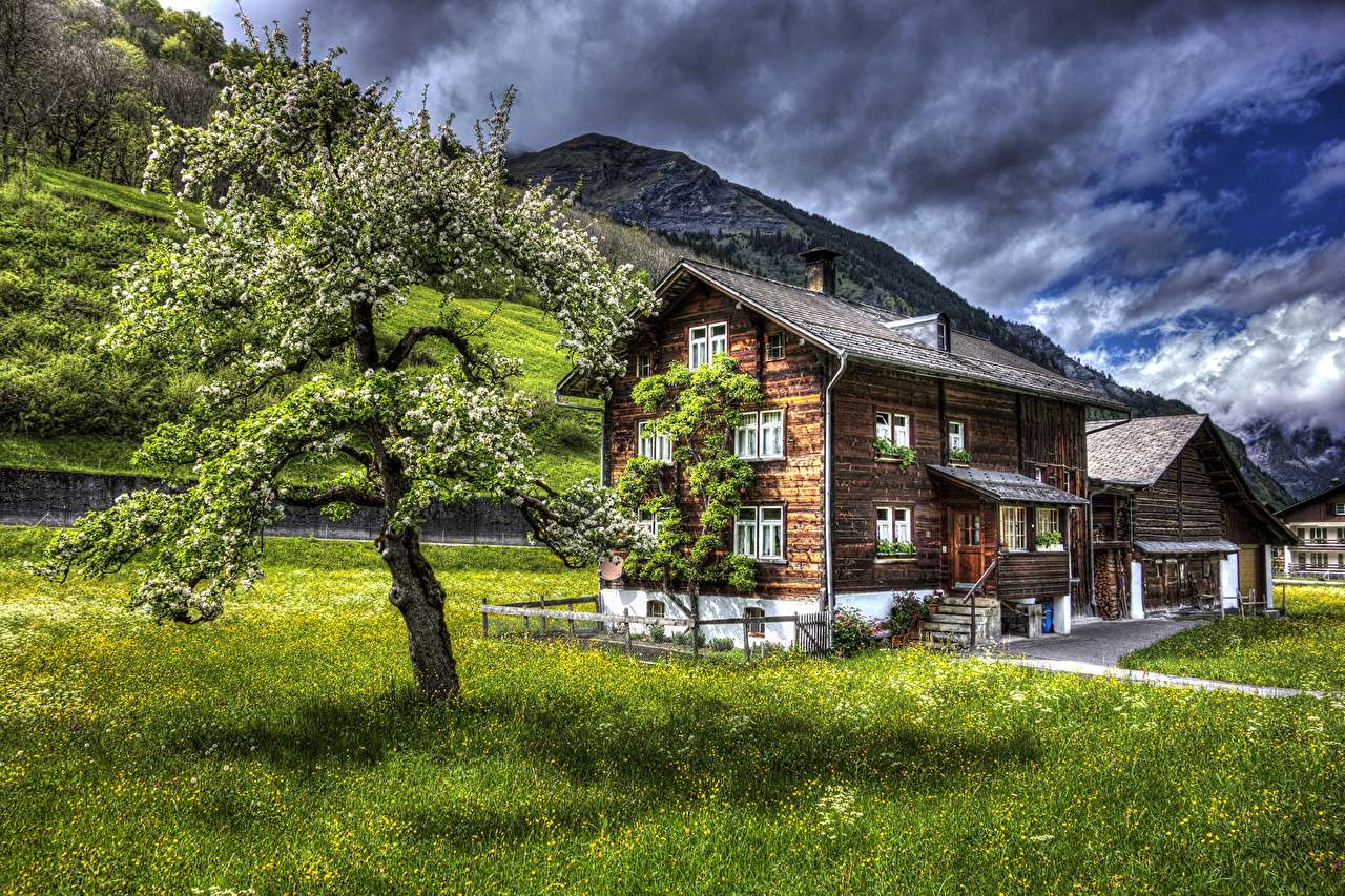 Szwajcaria- Drewniane dom na zielonej łące puzzle online