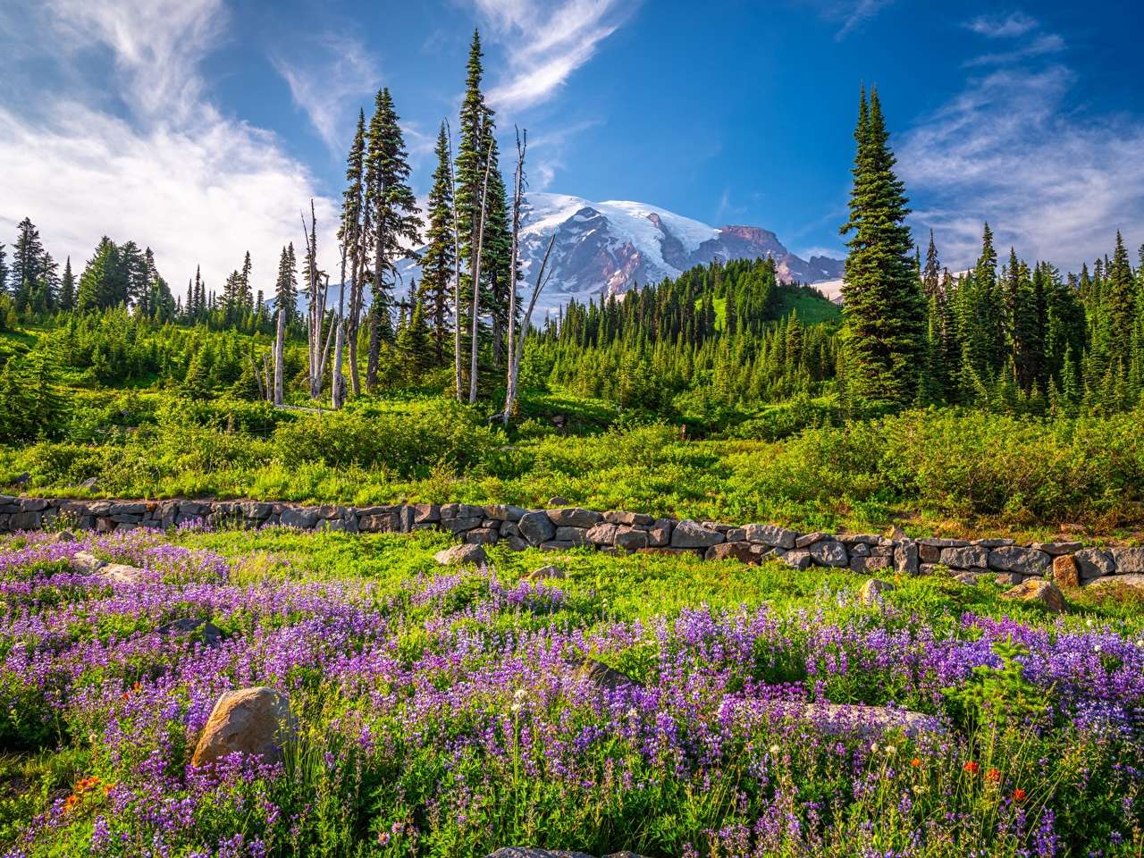 USA-Kwieciste łąki w górskim parku Narodowym puzzle online