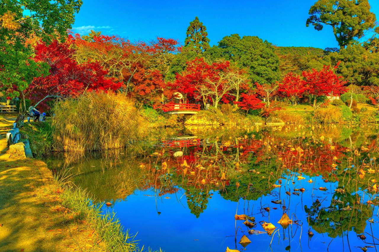 Japonia -Kioto-Piękny jesienny staw Daikaku puzzle online