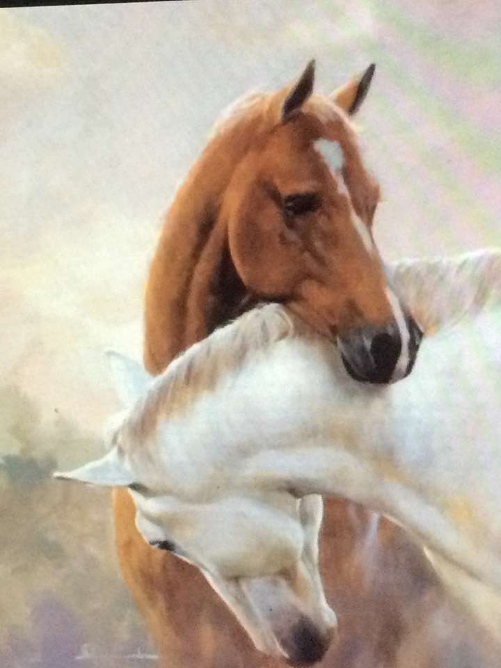 Dwa konie jeden brązowy i jeden biały puzzle online
