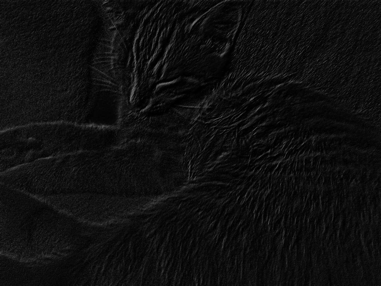 Чорна кішка puzzle online