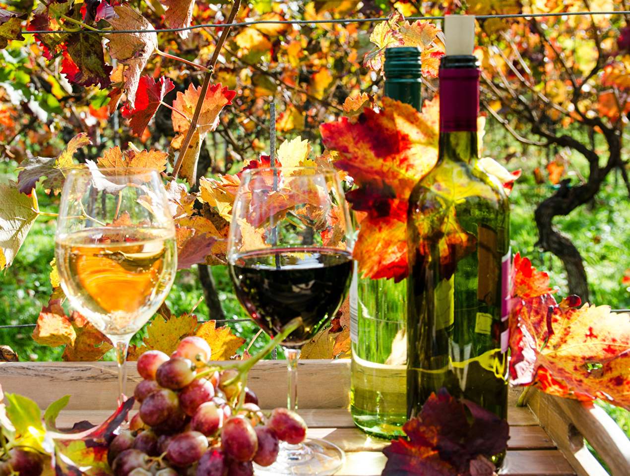 Francja-Jesienne Wino białe lub czerwone puzzle online