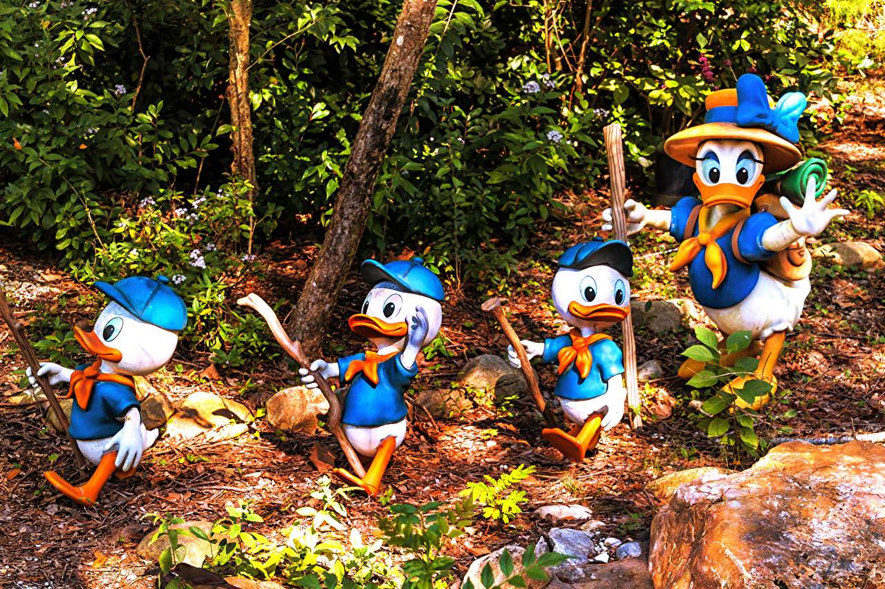 Floryda - Park Kaczki Disney's Animal Kingdom puzzle online