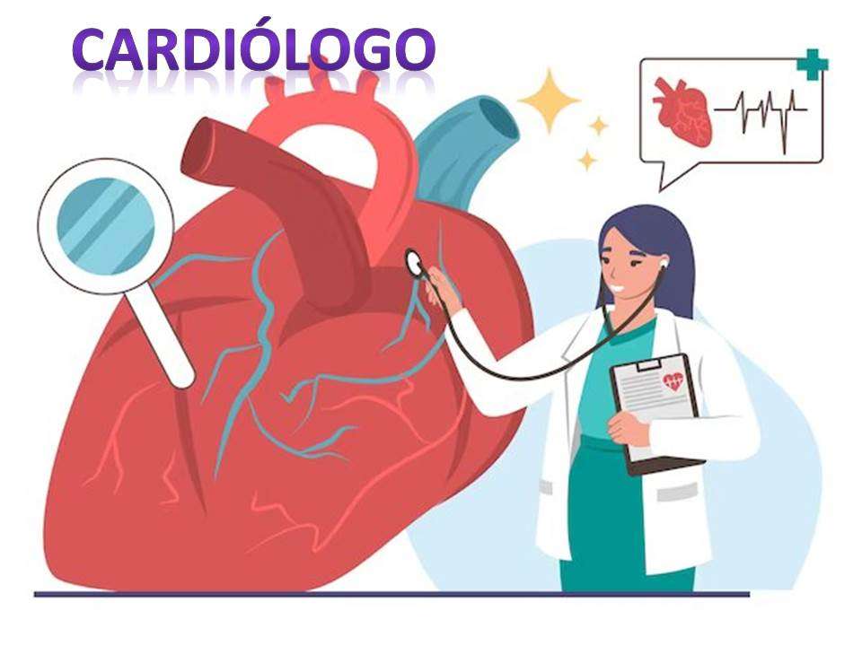 kardiolog puzzle online