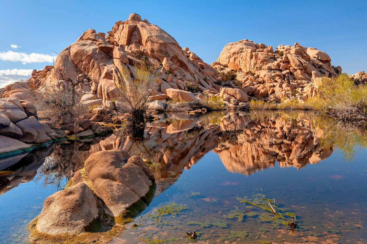 USA -Jezioro Joshua Tree National Park Kalifornia puzzle online