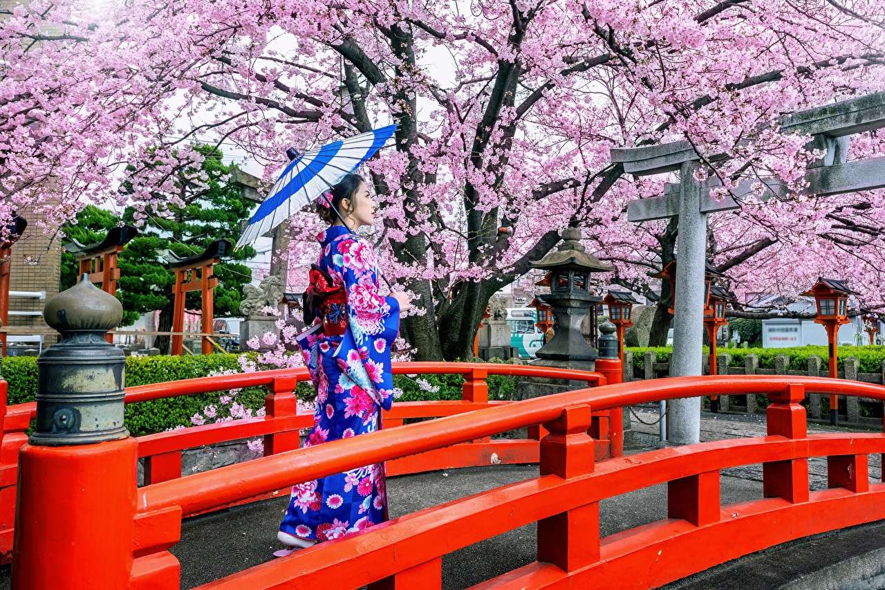 Święto Sakura-Kwitnące drzewa Japonii, pięknie puzzle online