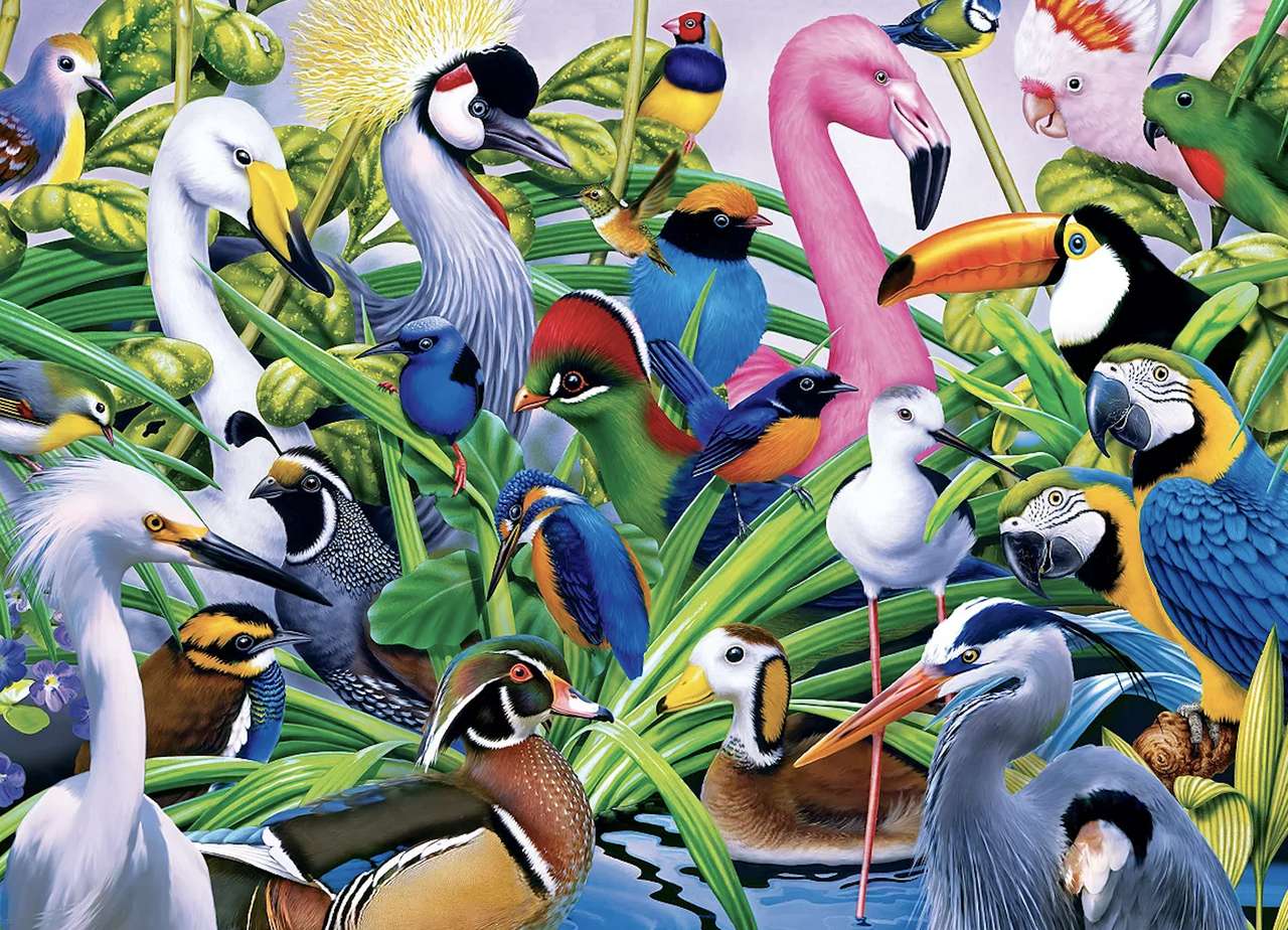 Piękne kolorowe ptaki żyjące w tropikach puzzle online