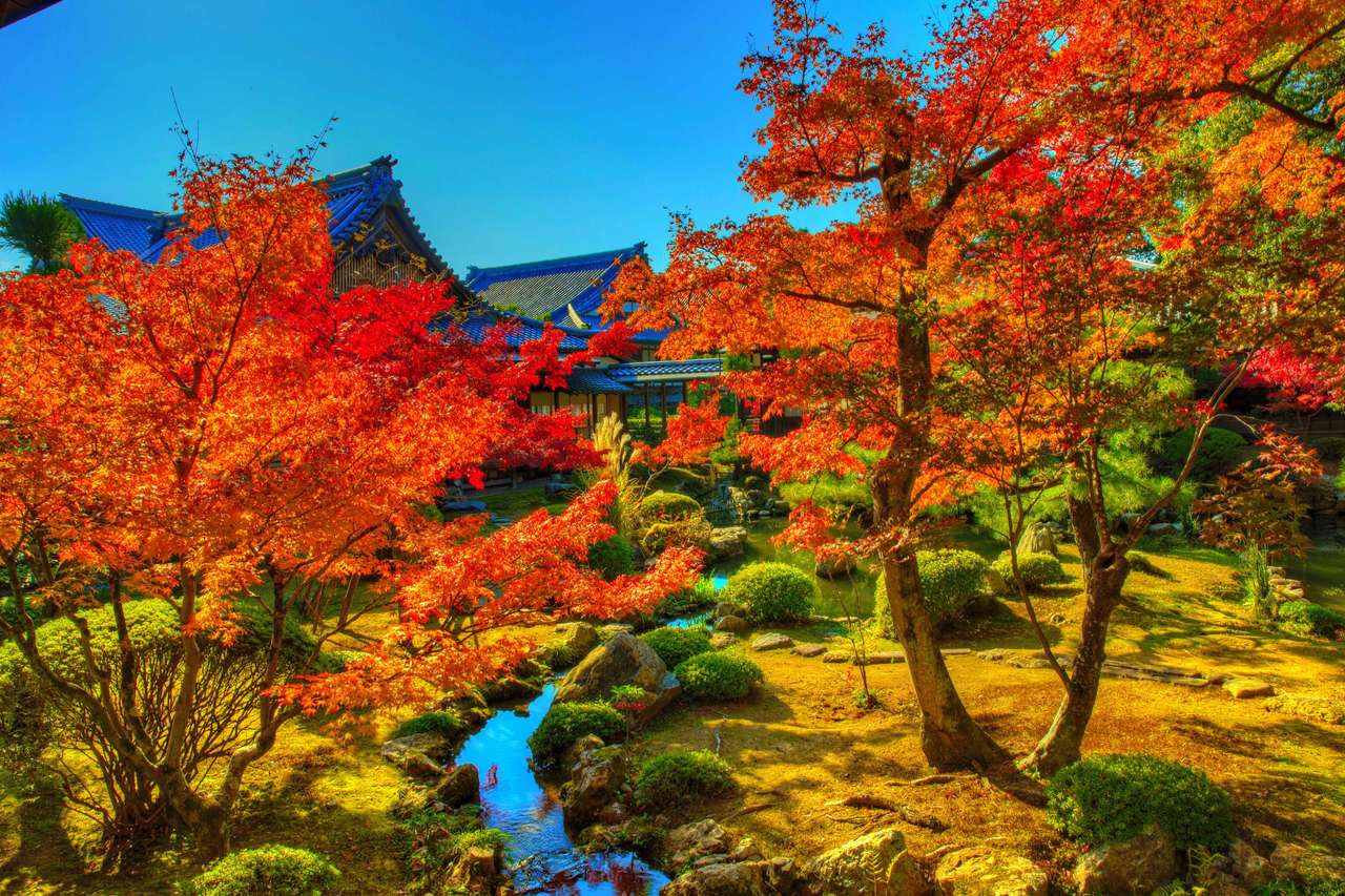 Kioto-Jesienne drzewa nad potokiem w pięknym parku puzzle online