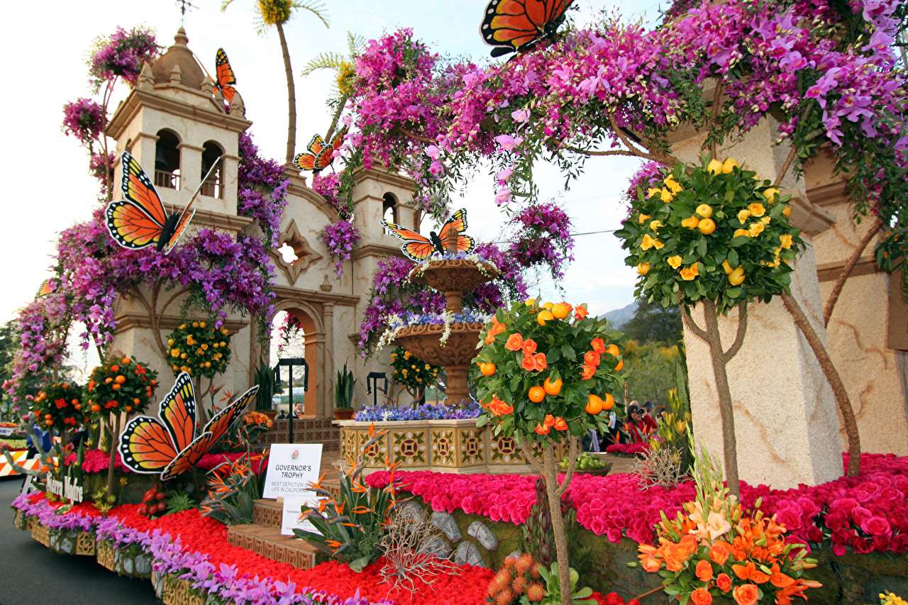 Kalifornia-Piękno, róż, storczyków, orchidei puzzle online
