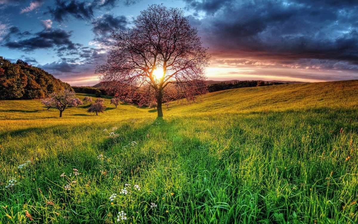 Piękno koloru nieba przy zachodzie słońca nad łąką puzzle online