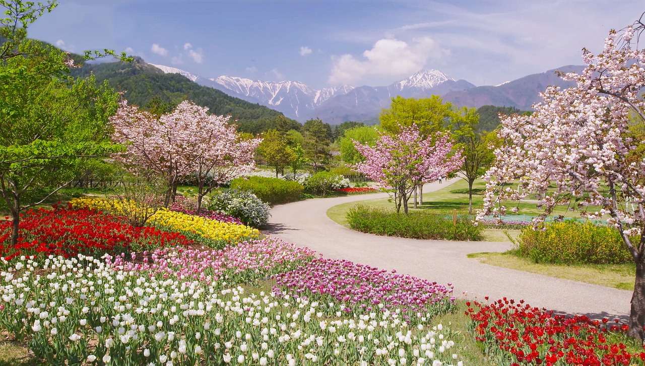 Alpy Azumino Park Na Wiosnę puzzle online