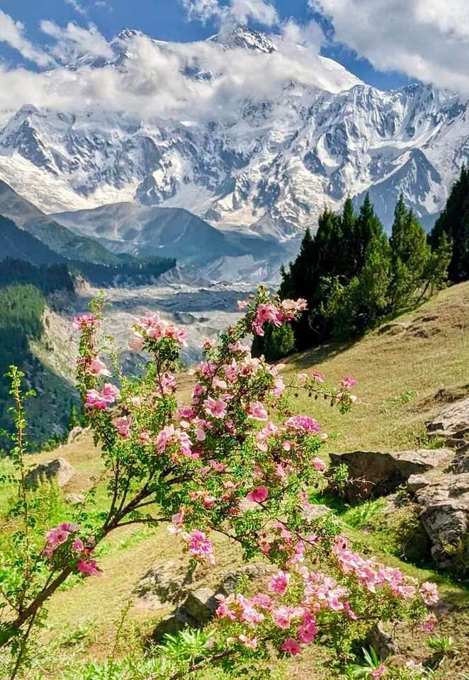Góry i kwiaty puzzle online