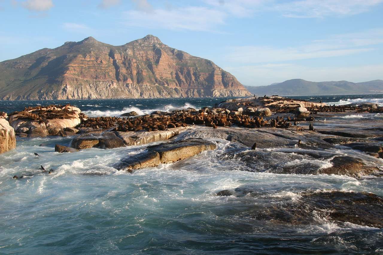 Wyspa nurków Republika Południowej Afryki puzzle online